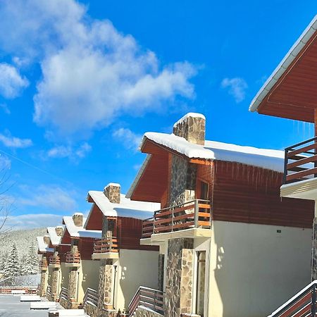 Villa Mtashi Bakuriani Exteriör bild