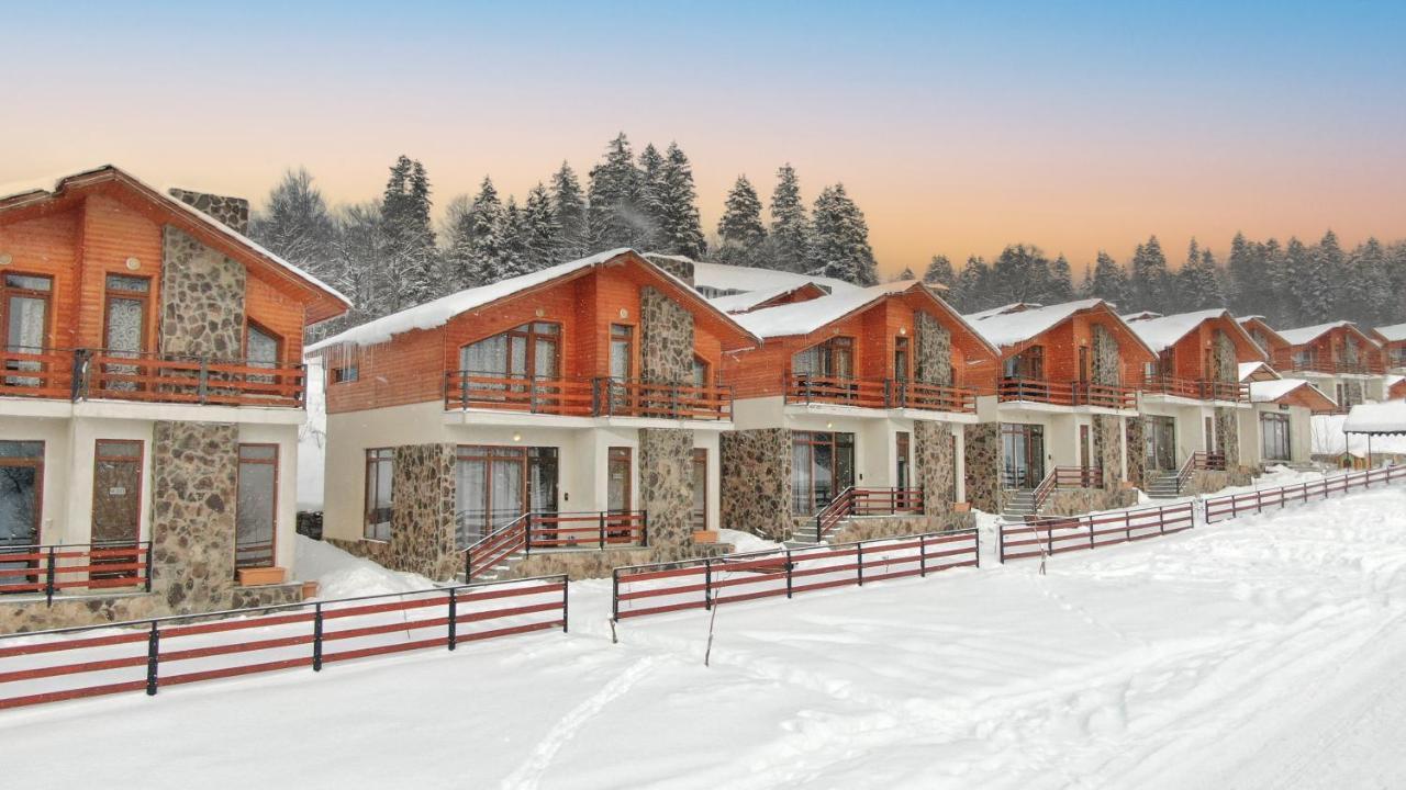 Villa Mtashi Bakuriani Exteriör bild