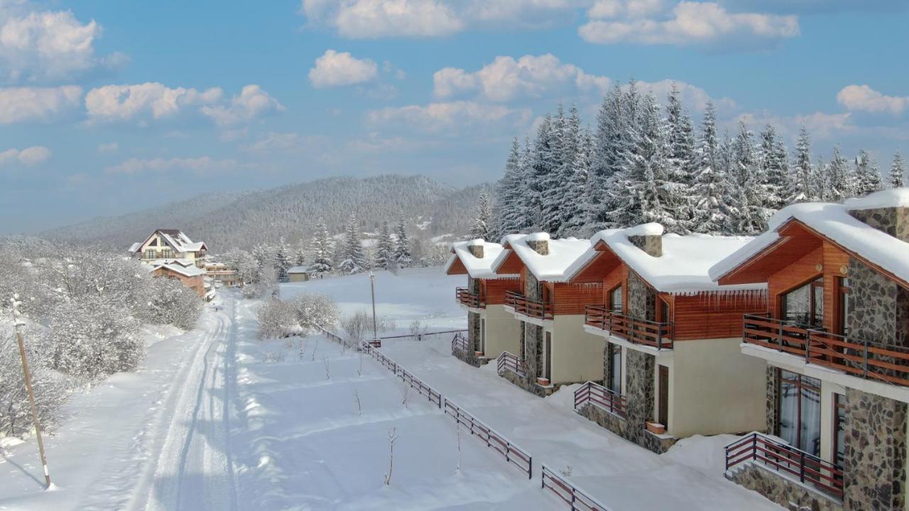 Villa Mtashi Bakuriani Exteriör bild