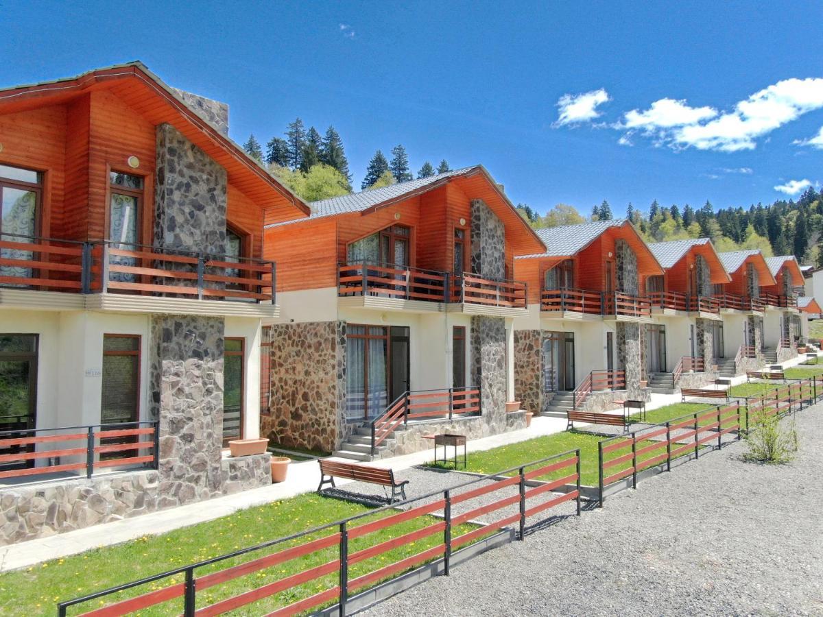 Villa Mtashi Bakuriani Exteriör bild