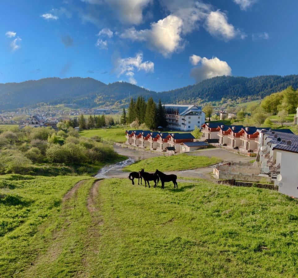 Villa Mtashi Bakuriani Exteriör bild