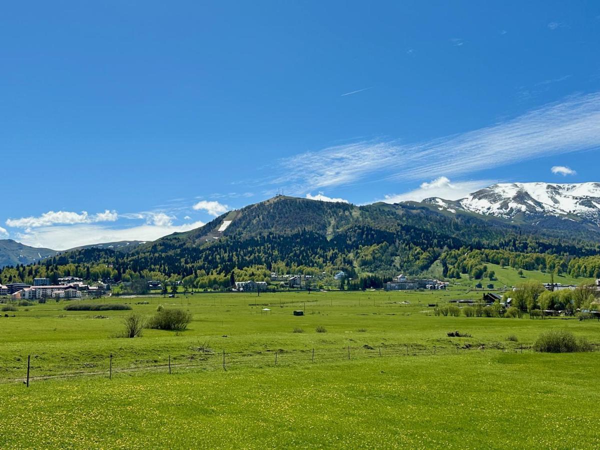 Villa Mtashi Bakuriani Exteriör bild