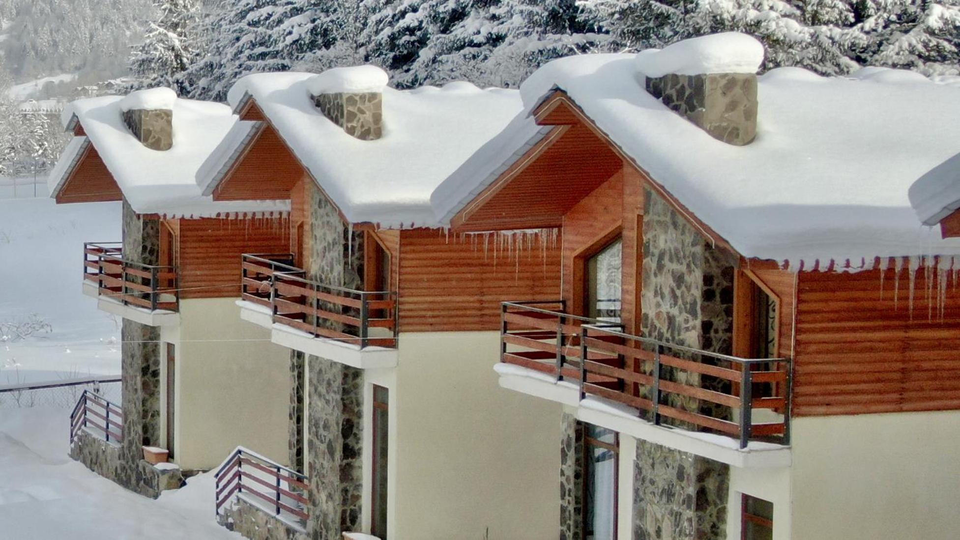 Villa Mtashi Bakuriani Exteriör bild