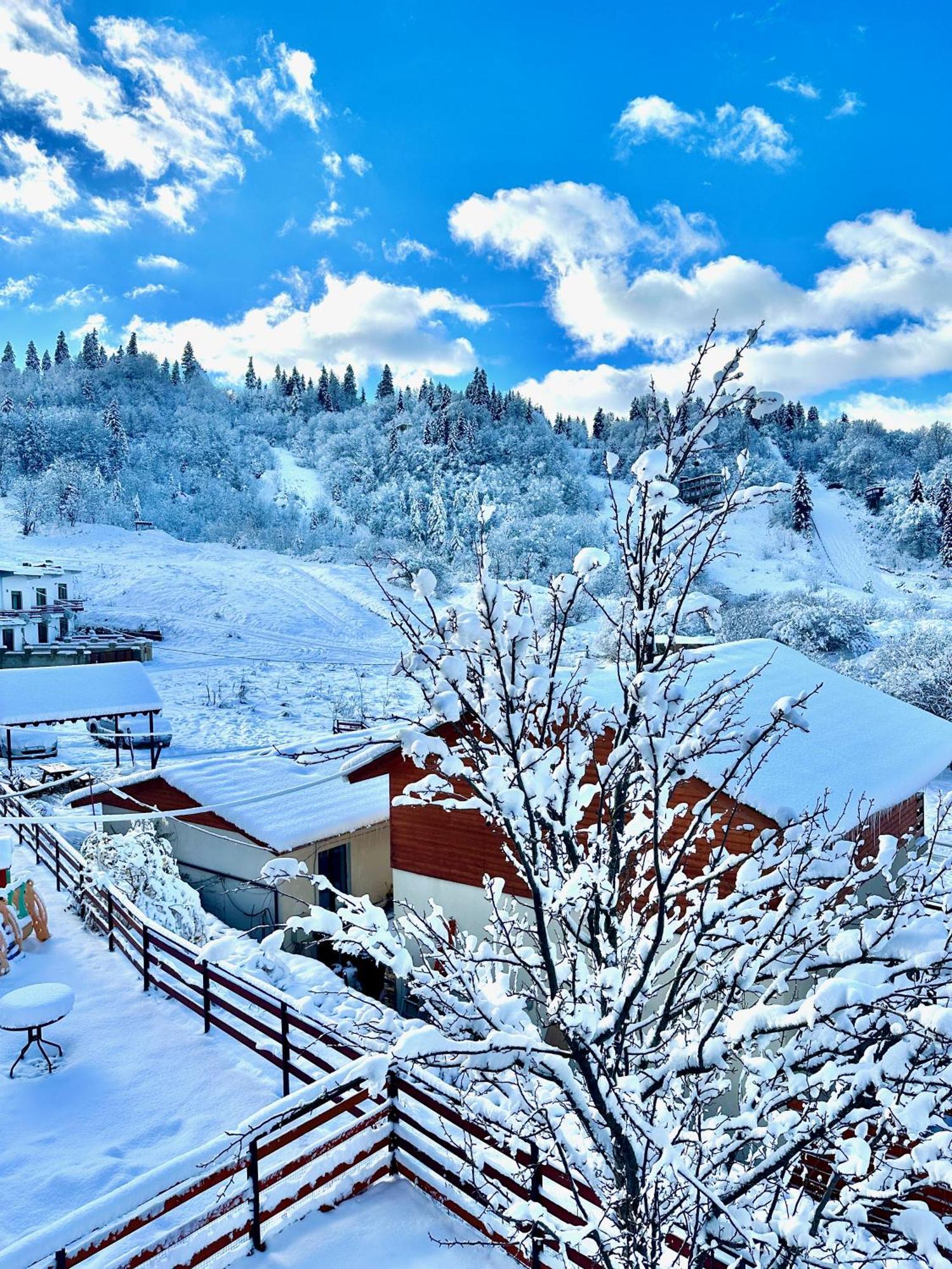 Villa Mtashi Bakuriani Exteriör bild
