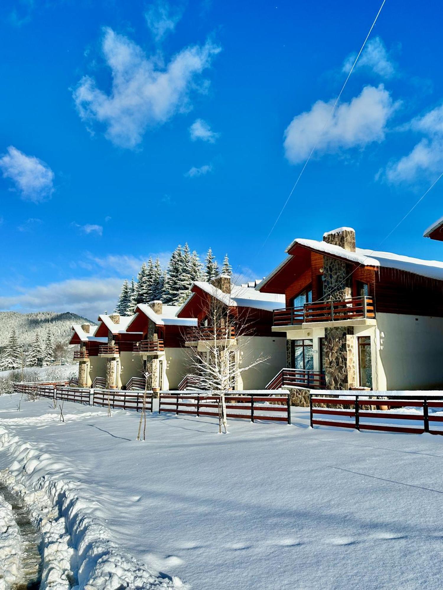 Villa Mtashi Bakuriani Exteriör bild