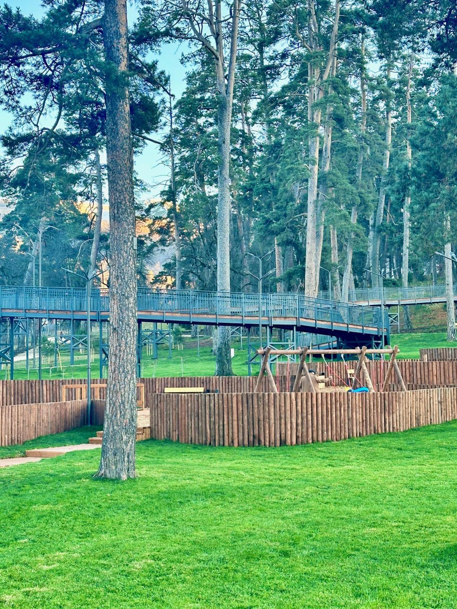 Villa Mtashi Bakuriani Exteriör bild