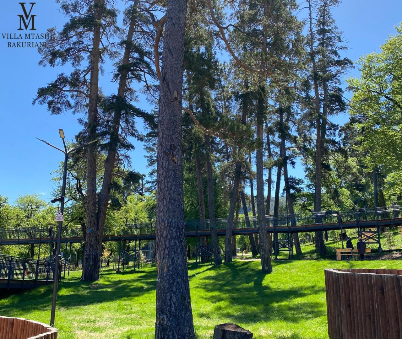 Villa Mtashi Bakuriani Exteriör bild
