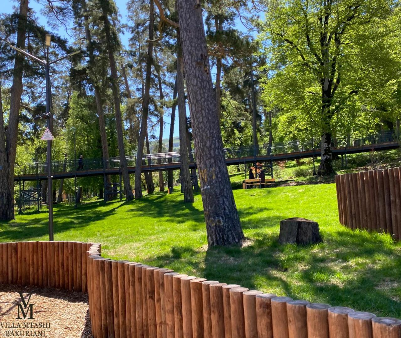 Villa Mtashi Bakuriani Exteriör bild