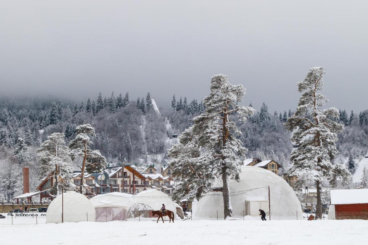 Villa Mtashi Bakuriani Exteriör bild