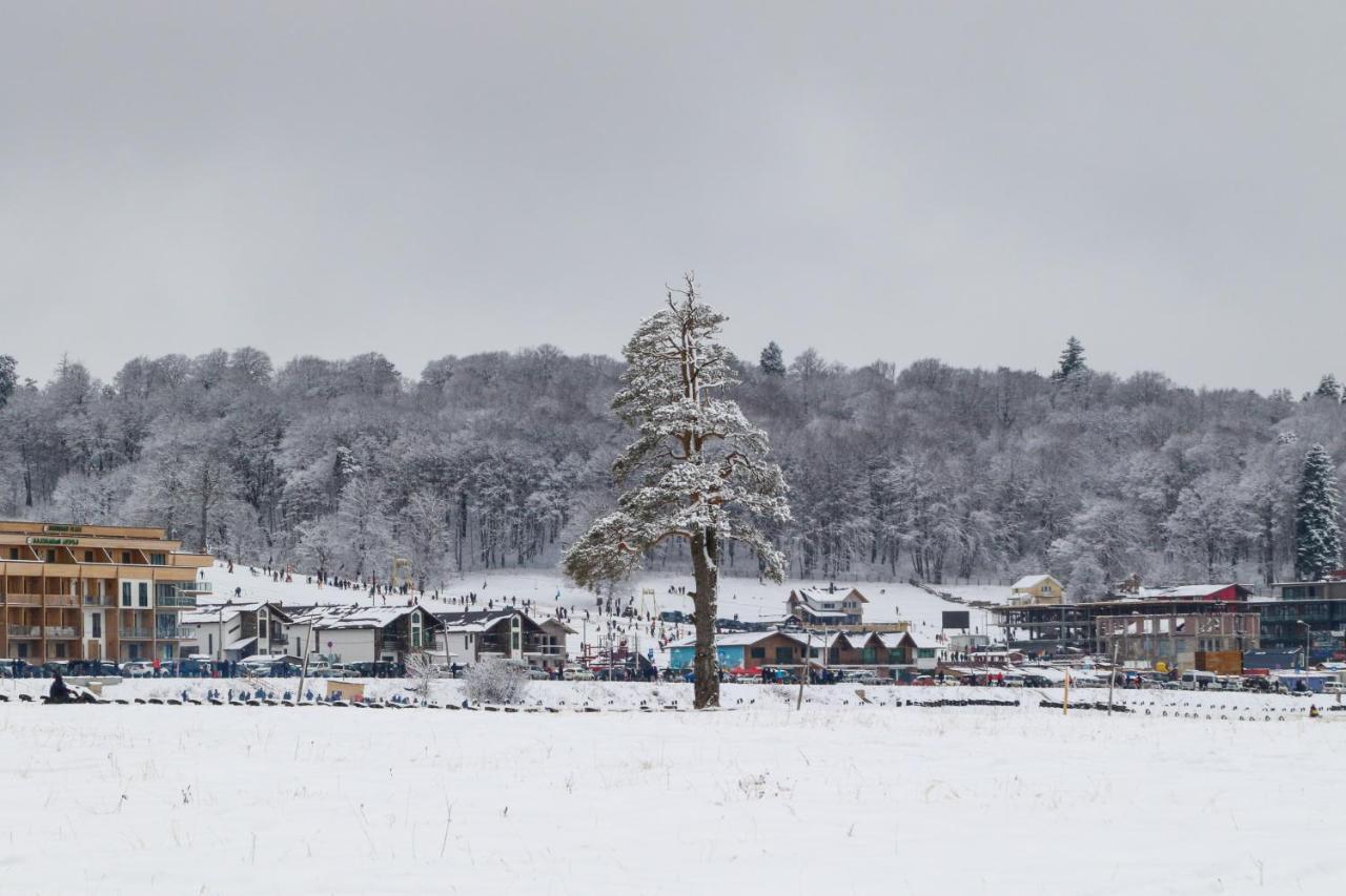 Villa Mtashi Bakuriani Exteriör bild