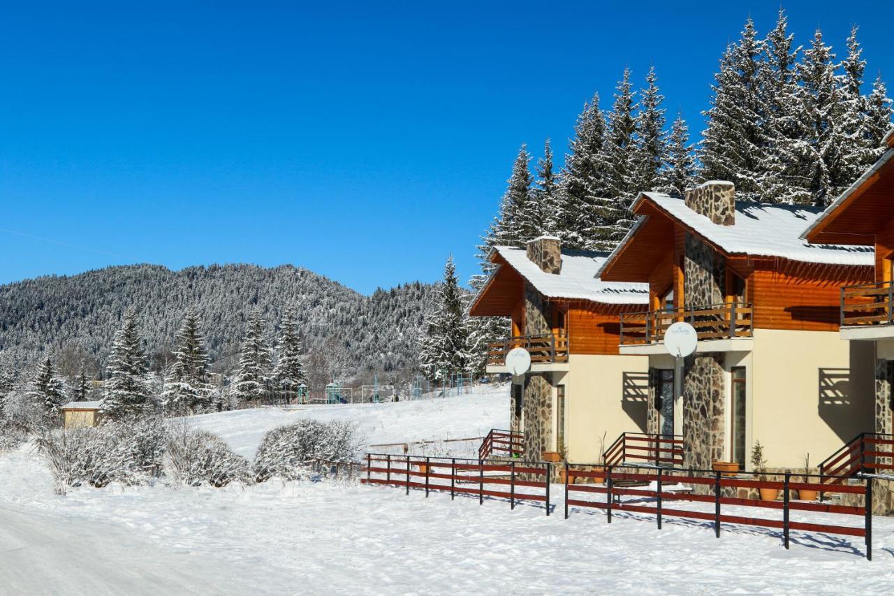 Villa Mtashi Bakuriani Exteriör bild